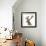 Close-Up of a Red Deer Stag in Front of a White Background-Life on White-Framed Photographic Print displayed on a wall