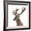 Close-Up of a Red Deer Stag in Front of a White Background-Life on White-Framed Photographic Print