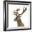 Close-Up of a Red Deer Stag in Front of a White Background-Life on White-Framed Photographic Print