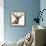 Close-Up of a Red Deer Stag in Front of a White Background-Life on White-Framed Photographic Print displayed on a wall