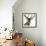 Close-Up of a Red Deer Stag in Front of a White Background-Life on White-Framed Photographic Print displayed on a wall