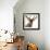 Close-Up of a Red Deer Stag in Front of a White Background-Life on White-Framed Photographic Print displayed on a wall