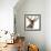 Close-Up of a Red Deer Stag in Front of a White Background-Life on White-Framed Photographic Print displayed on a wall