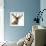 Close-Up of a Red Deer Stag in Front of a White Background-Life on White-Framed Photographic Print displayed on a wall