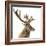 Close-Up of a Red Deer Stag in Front of a White Background-Life on White-Framed Photographic Print