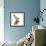 Close-Up of a Red Deer Stag in Front of a White Background-Life on White-Framed Photographic Print displayed on a wall