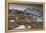 Close-Up of a Red Fox (Vulpes Vulpes) Resting-Benjamin Barthelemy-Framed Premier Image Canvas