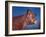 Close Up of a Red Poll Cow-Eliot Elisofon-Framed Photographic Print