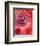 Close-Up of a Red Rose, Overlayed with Flower Decorations-Alaya Gadeh-Framed Photographic Print