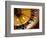 Close-up of a Roulette Wheel-Barry Winiker-Framed Photographic Print