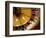 Close-up of a Roulette Wheel-Barry Winiker-Framed Photographic Print