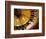 Close-up of a Roulette Wheel-Barry Winiker-Framed Photographic Print