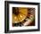 Close-up of a Roulette Wheel-Barry Winiker-Framed Photographic Print