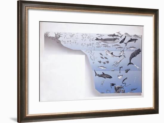 Close-Up of a School of Fish Underwater-null-Framed Giclee Print