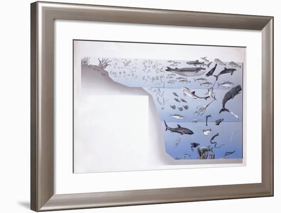 Close-Up of a School of Fish Underwater-null-Framed Giclee Print