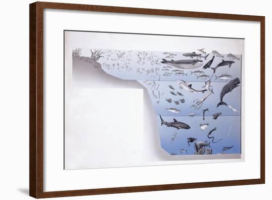 Close-Up of a School of Fish Underwater-null-Framed Giclee Print