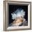 Close-Up of a Sea Anemone-null-Framed Giclee Print