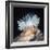 Close-Up of a Sea Anemone-null-Framed Giclee Print