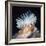 Close-Up of a Sea Anemone-null-Framed Giclee Print