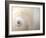 Close Up of a Shell-Nadia Isakova-Framed Photographic Print