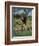 Close-Up of a Single Southern Giraffe Bending Down Drinking, Kruger National Park, South Africa-Paul Allen-Framed Photographic Print