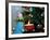 Close-Up of a Snow Man Candle in Front of a Tree with Christmas Lights-Winfred Evers-Framed Photographic Print