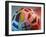 Close-up of a Soccer Ball-null-Framed Photographic Print