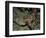 Close-Up of a Spiny Lobster, Caribbean Sea, Central America-Gavin Hellier-Framed Photographic Print