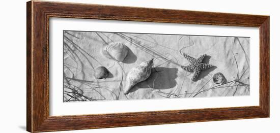 Close-Up of a Starfish and Seashells on the Beach, Dauphin Island, Alabama, USA-null-Framed Photographic Print