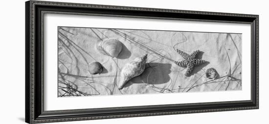 Close-Up of a Starfish and Seashells on the Beach, Dauphin Island, Alabama, USA-null-Framed Photographic Print