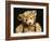 Close Up of a Steiff "Dual" Mohair Teddy Bear, C, 1926-Steiff-Framed Giclee Print