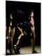 Photographic Print