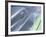 Close-up of a Vent on Muscle Car-null-Framed Photographic Print