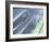 Close-up of a Vent on Muscle Car-null-Framed Photographic Print