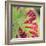 Close-up of a Vine Leaf in Autumn-John Miller-Framed Photographic Print