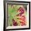 Close-up of a Vine Leaf in Autumn-John Miller-Framed Photographic Print