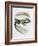 Close-Up of a Wall Lizard (Podarcis Muralis)-null-Framed Giclee Print