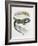 Close-Up of a Wall Lizard (Podarcis Muralis)-null-Framed Giclee Print
