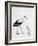 Close-Up of a White Stork with its Young (Ciconia Ciconia)-null-Framed Giclee Print