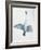 Close-Up of a Whooper Swan Flying (Cygnus Cygnus)-null-Framed Giclee Print