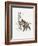 Close-Up of a Wild Boar Rubbing His Neck on a Tree Trunk (Sus Scrofa)-null-Framed Giclee Print