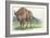 Close-Up of a Wisent Standing in the Forest (Bison Bonasus)-null-Framed Giclee Print