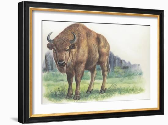 Close-Up of a Wisent Standing in the Forest (Bison Bonasus)-null-Framed Giclee Print