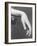 Close Up of a Woman's Graceful Hand-Emil Otto Hoppé-Framed Photographic Print