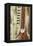 Close-Up of a Wood Indian Sitar String Instrument of Music in India-Bill Bachmann-Framed Premier Image Canvas