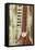 Close-Up of a Wood Indian Sitar String Instrument of Music in India-Bill Bachmann-Framed Premier Image Canvas