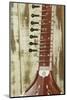 Close-Up of a Wood Indian Sitar String Instrument of Music in India-Bill Bachmann-Mounted Photographic Print