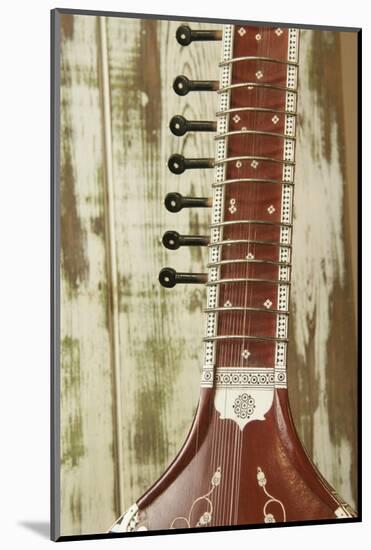 Close-Up of a Wood Indian Sitar String Instrument of Music in India-Bill Bachmann-Mounted Photographic Print