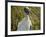 Close-Up of a Wood Stork, Everglades National Park, Florida-null-Framed Photographic Print