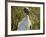 Close-Up of a Wood Stork, Everglades National Park, Florida-null-Framed Photographic Print